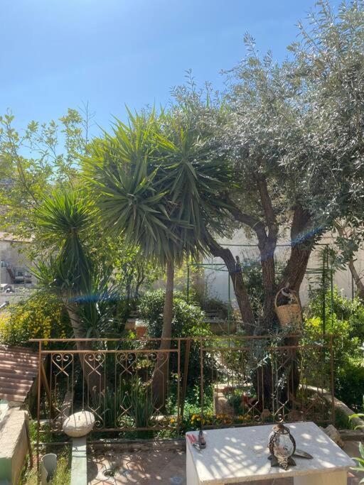 Central House With Beautiful Garden عمان المظهر الخارجي الصورة