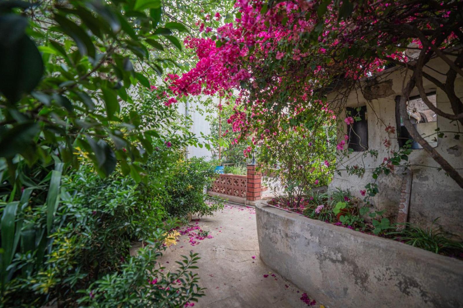 Central House With Beautiful Garden عمان المظهر الخارجي الصورة